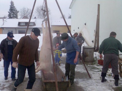 Vepřové hody - 29.12.2006